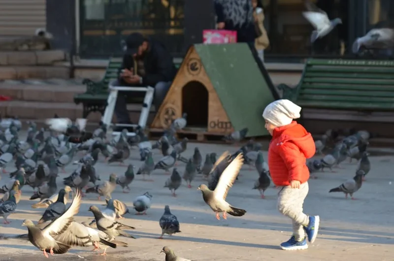 LH청약센터 홈페이지 (https://apply.lh.or.kr)