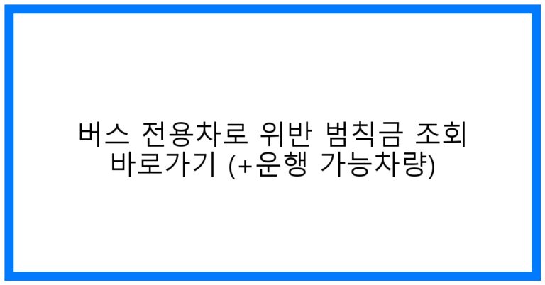 thumbnail_버스 전용차로 위반 범칙금 조회 바로가기 (+운행 가능차량)