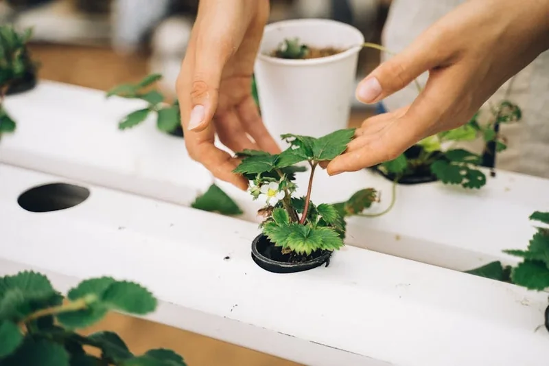 2025 농업 교육포털 홈페이지 바로가기(https://agriedu.net/)