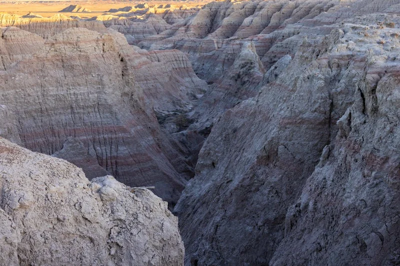 국민연금 EDI 서비스 (edi.nps.or.kr/)