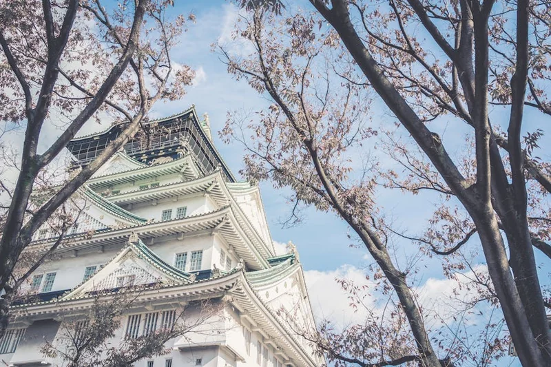 청와대 국민청원 홈페이지 바로가기 (withpeople.president.go.kr/)