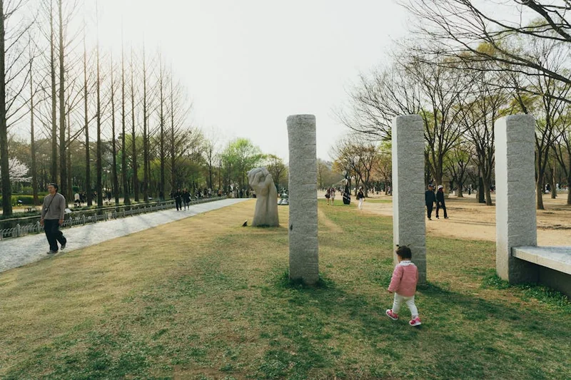 에어서울 홈페이지 (www.flyairseoul.com/)