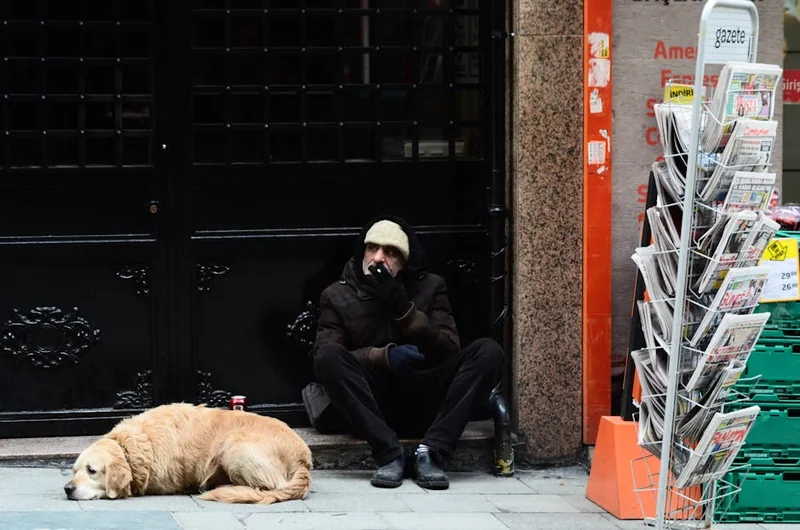 사단법인 양지회 홈페이지 (https://www.yangji.news)