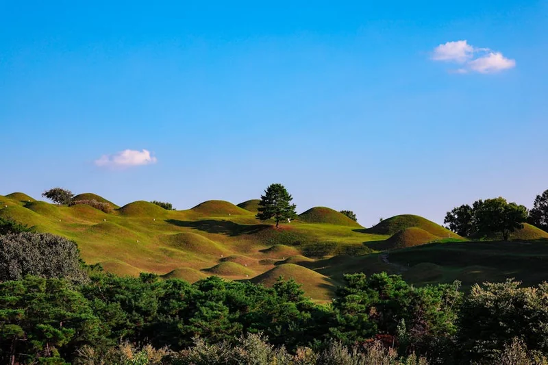 대구 코스트코 영업시간