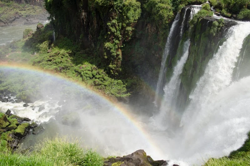 백내장수술가격