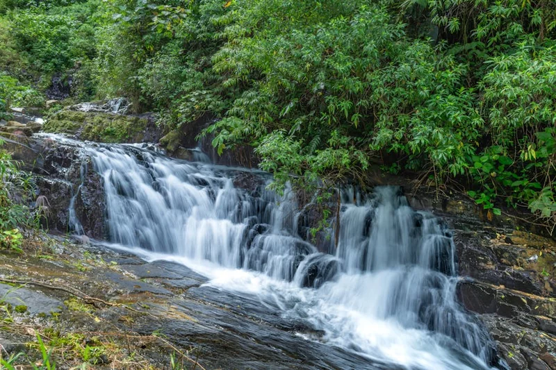 백내장수술가격