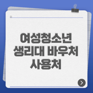 여성청소년 생리대 바우처 사용처