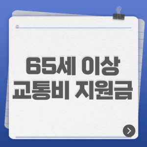 65세 이상 교통 지원금