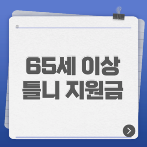 65세 이상 틀니 지원금